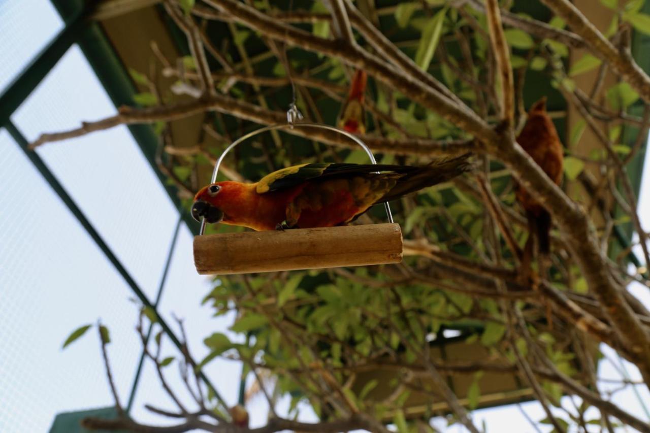 Manas Resort With Petting Zoo, Igatpuri Eksteriør bilde
