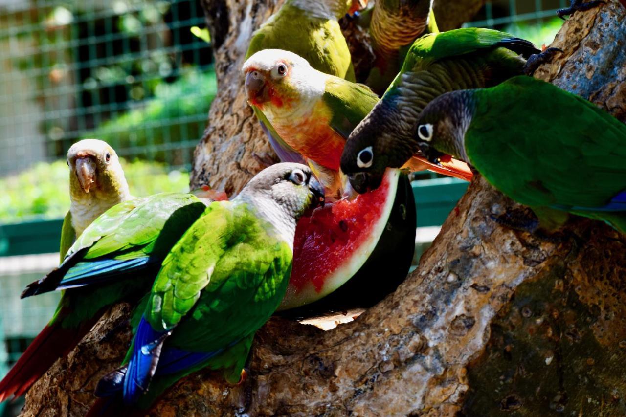 Manas Resort With Petting Zoo, Igatpuri Eksteriør bilde